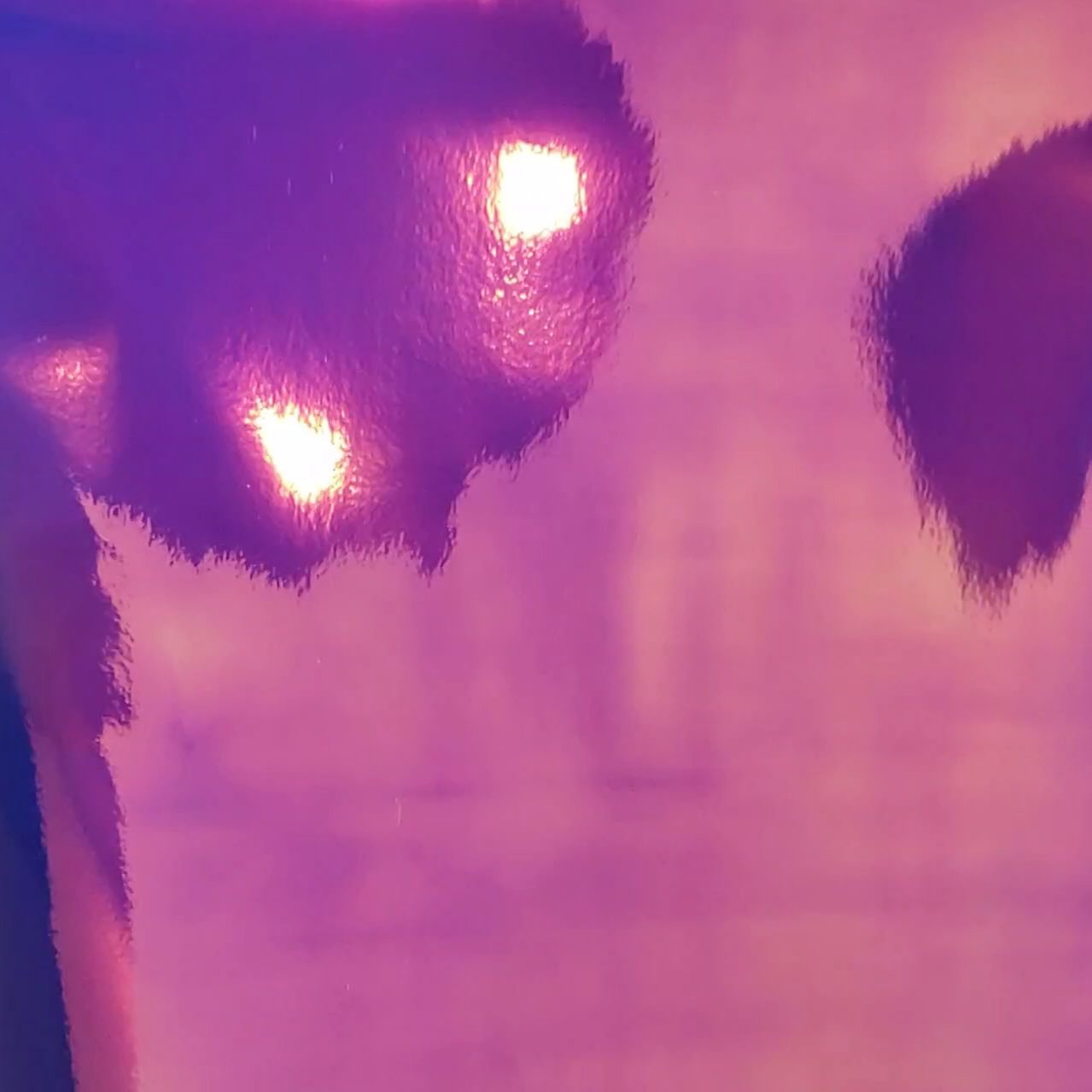 Enchanted Mist - Opal Vinyl Opal