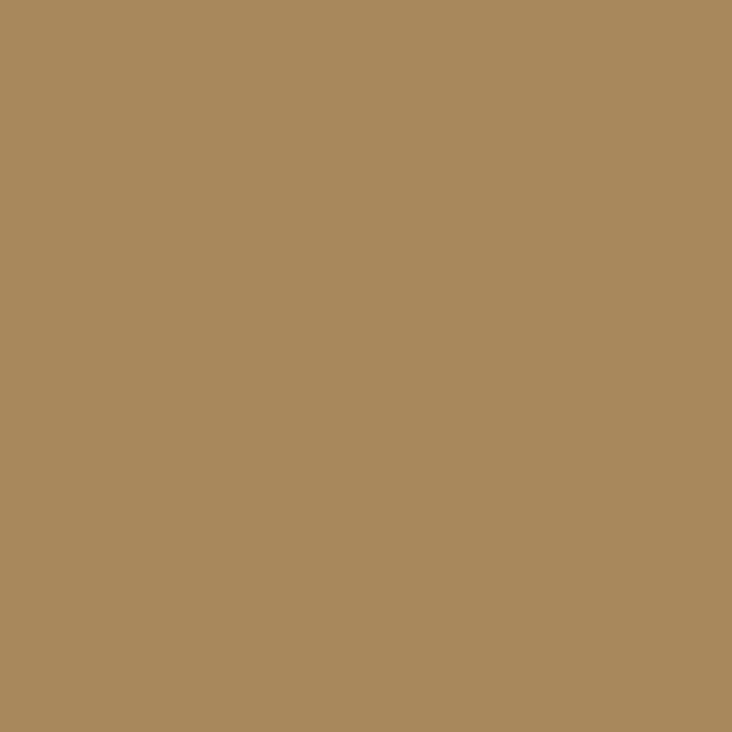 Light Brown - Oracal 651