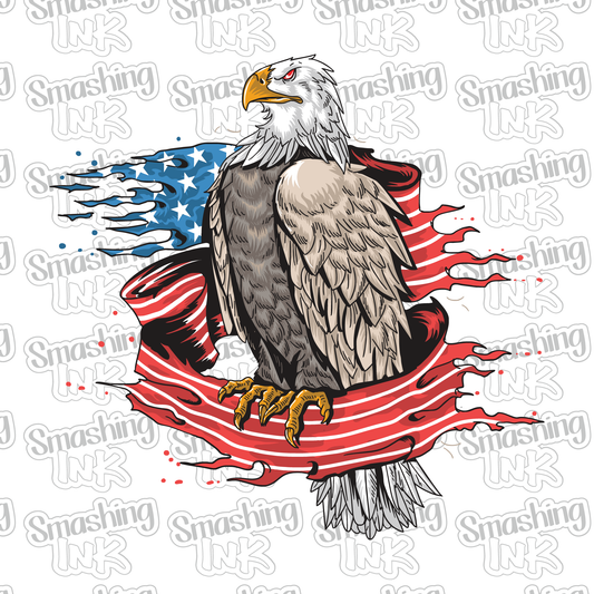 American Eagle Flag 2 - Heat Transfer | DTF | Sublimation (TAT 3 BUS DAYS) [15E-10HTV]