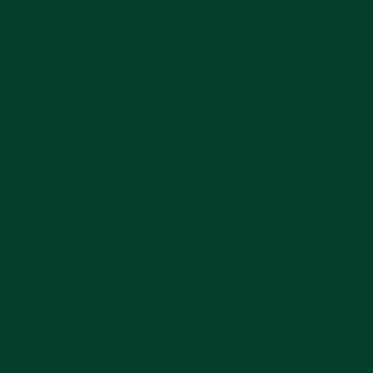Dark Green - Oracal 651