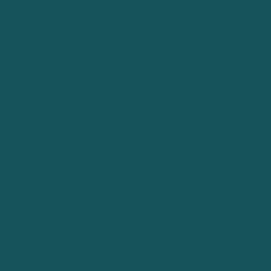 Turquoise - Siser Easyweed HTV